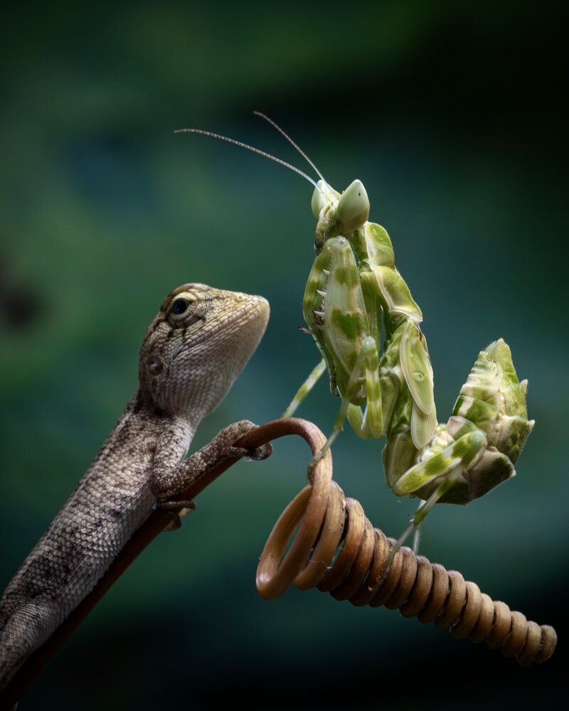 Photograph by Phat Huynh