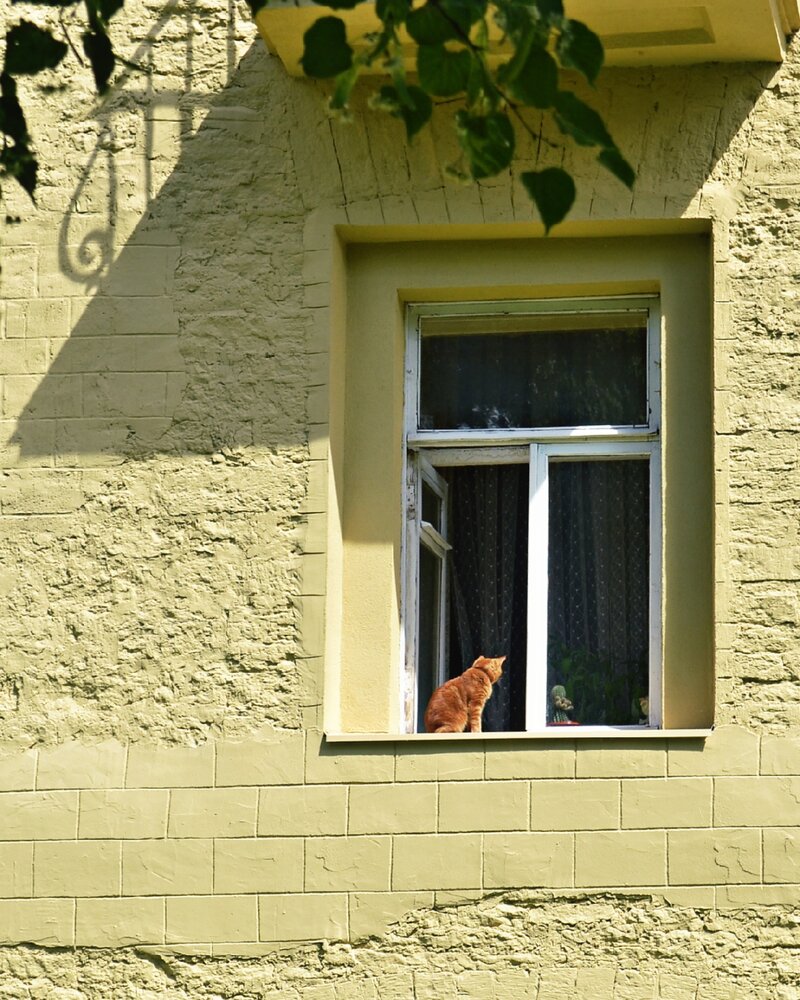 Photograph by Анна Власова
