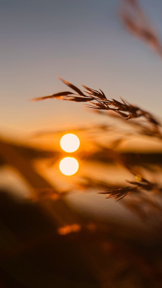 Photograph by Оксана Корепанова