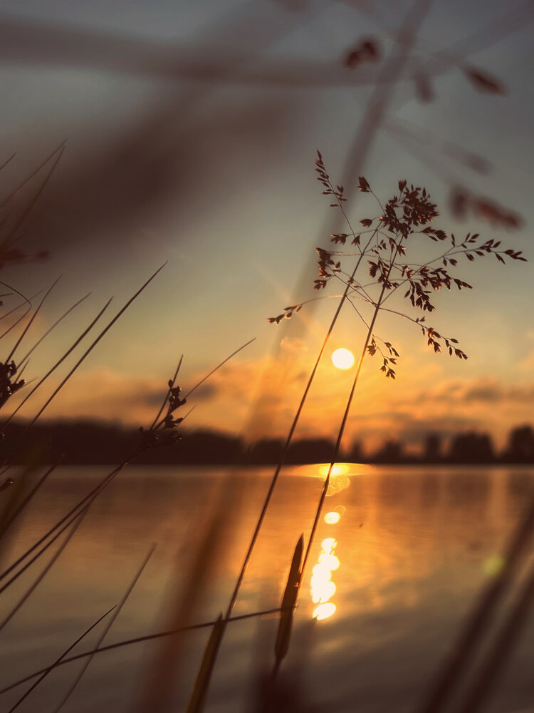 Photograph by Оксана Корепанова