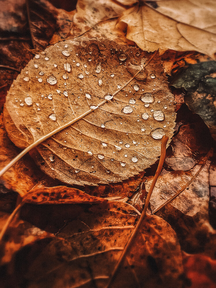 Photograph by Оксана Корепанова
