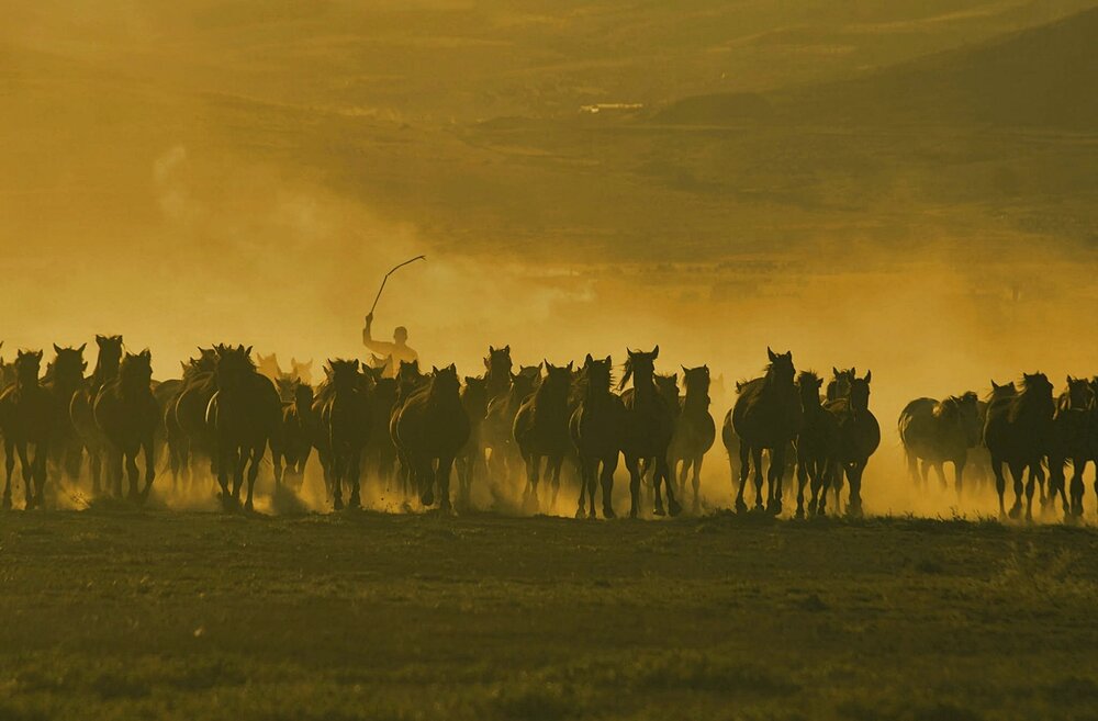 Photograph by SÜLEYMAN ÜLKER