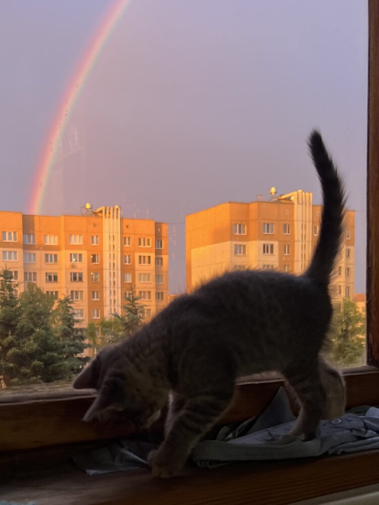 Photograph by Оксана Корепанова