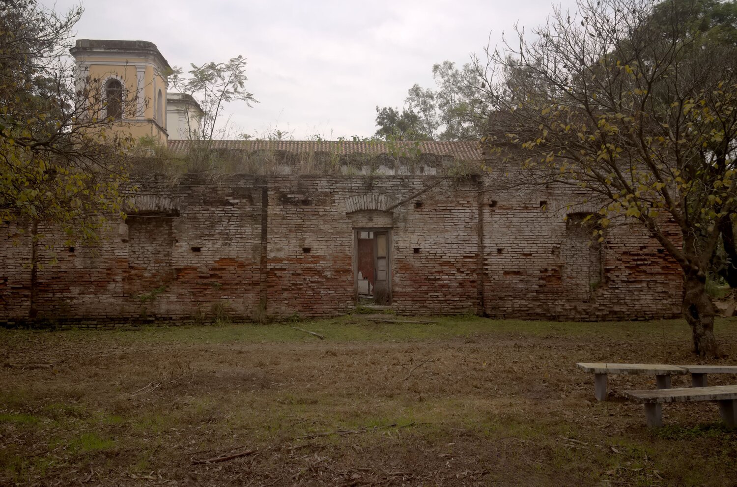 Photo #14022080