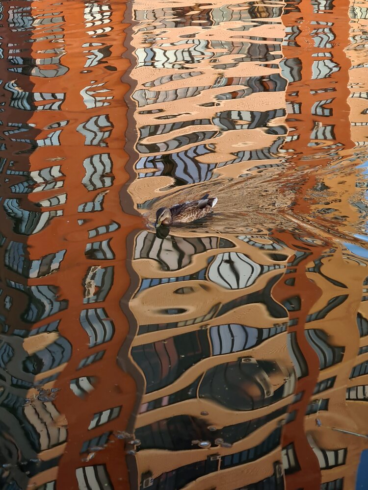 Liquid Architecture