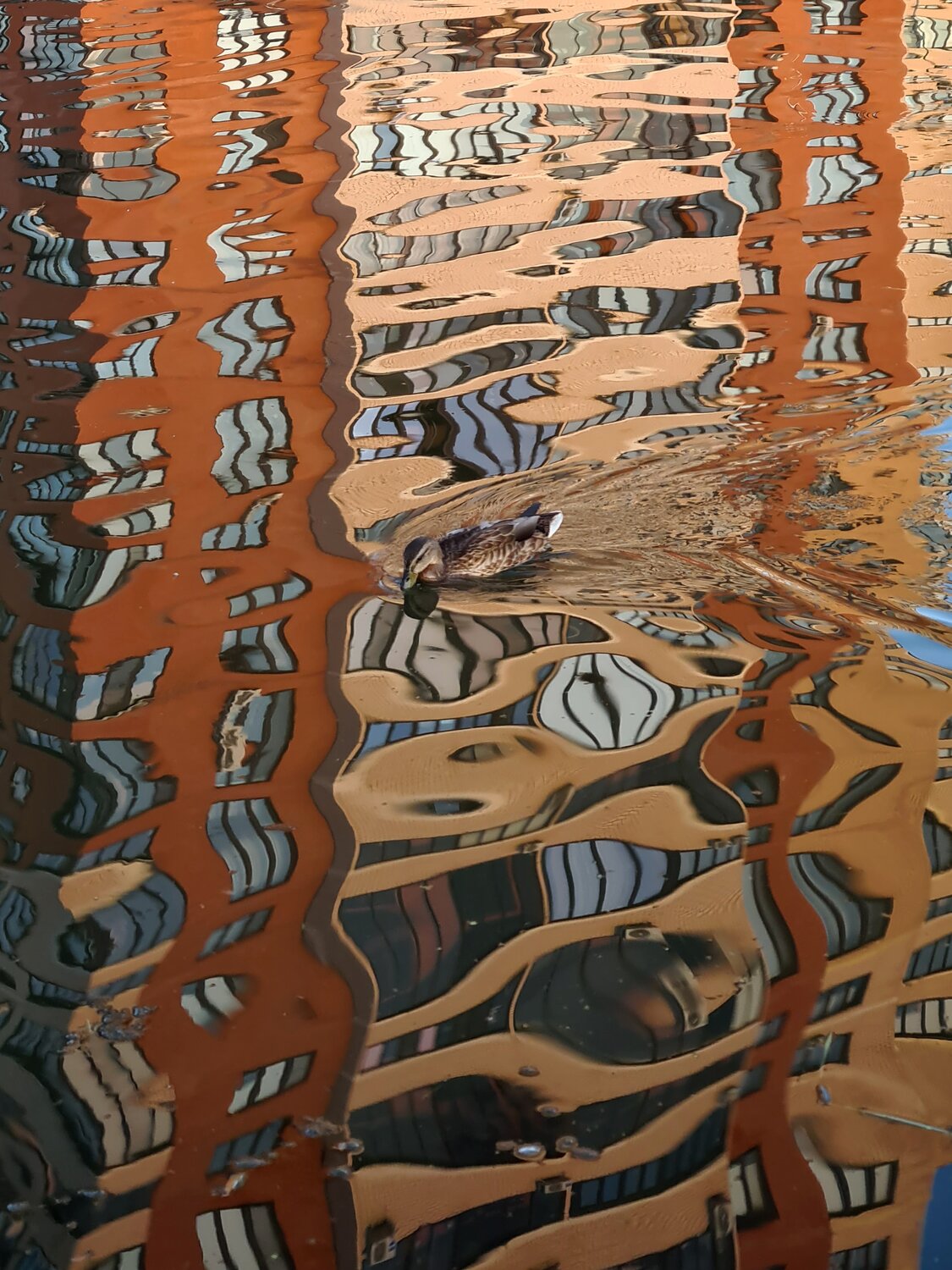 Liquid Architecture
