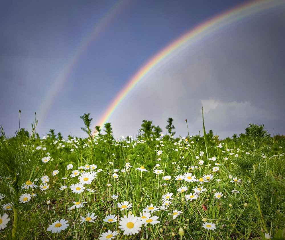 Photograph by Aliaksei Jodko
