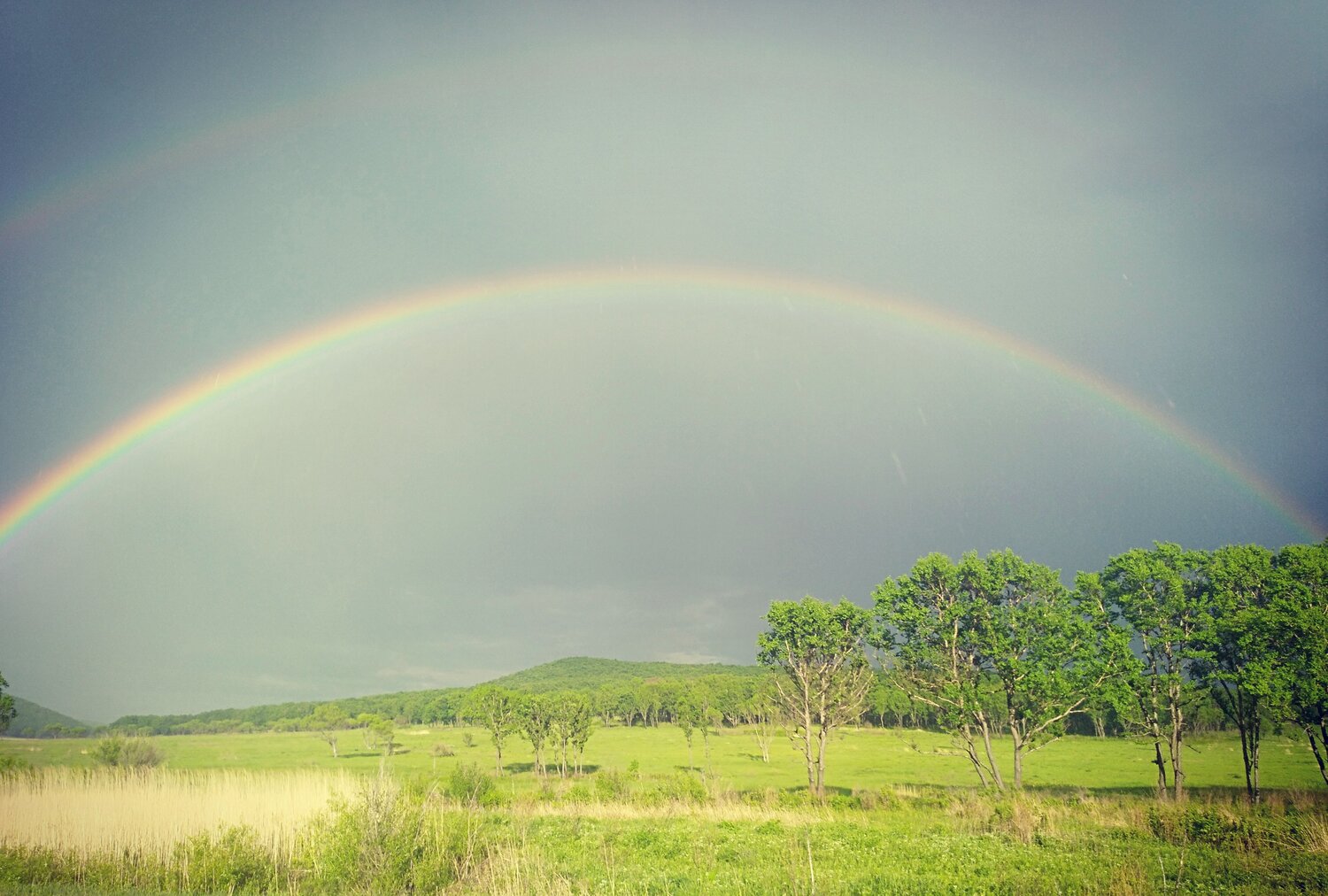 Photo #14022228