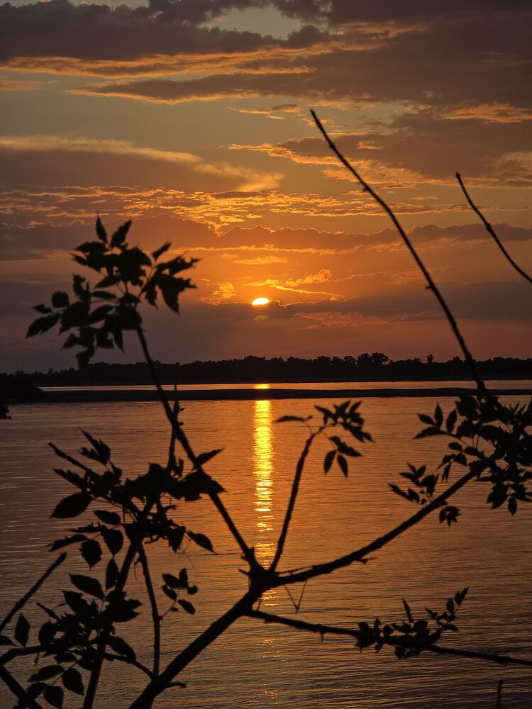 Photograph by Галчонок Ахмерова