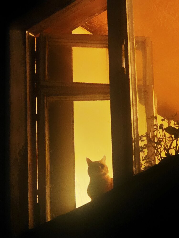 Photograph by Светлана Кустова