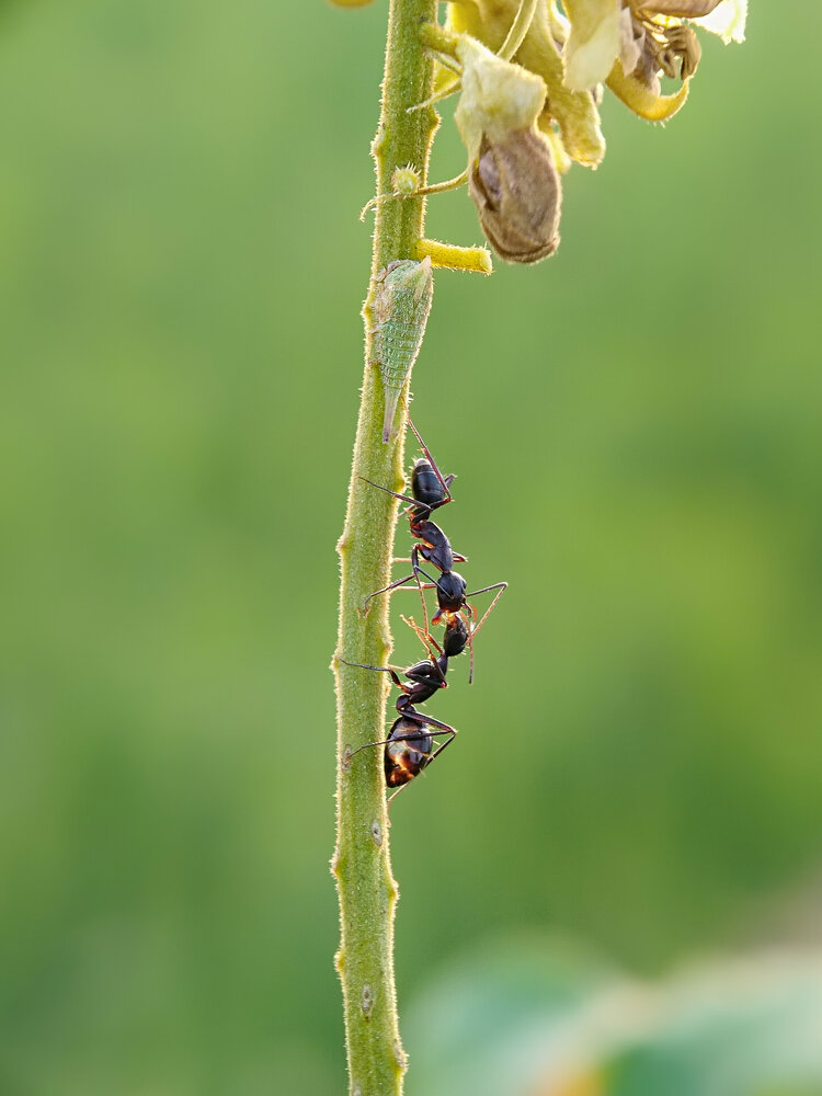 Photograph by ANTU MONDAL