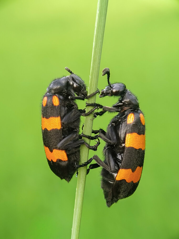 Photograph by ANTU MONDAL