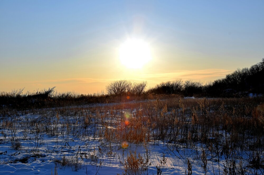 Photograph by 