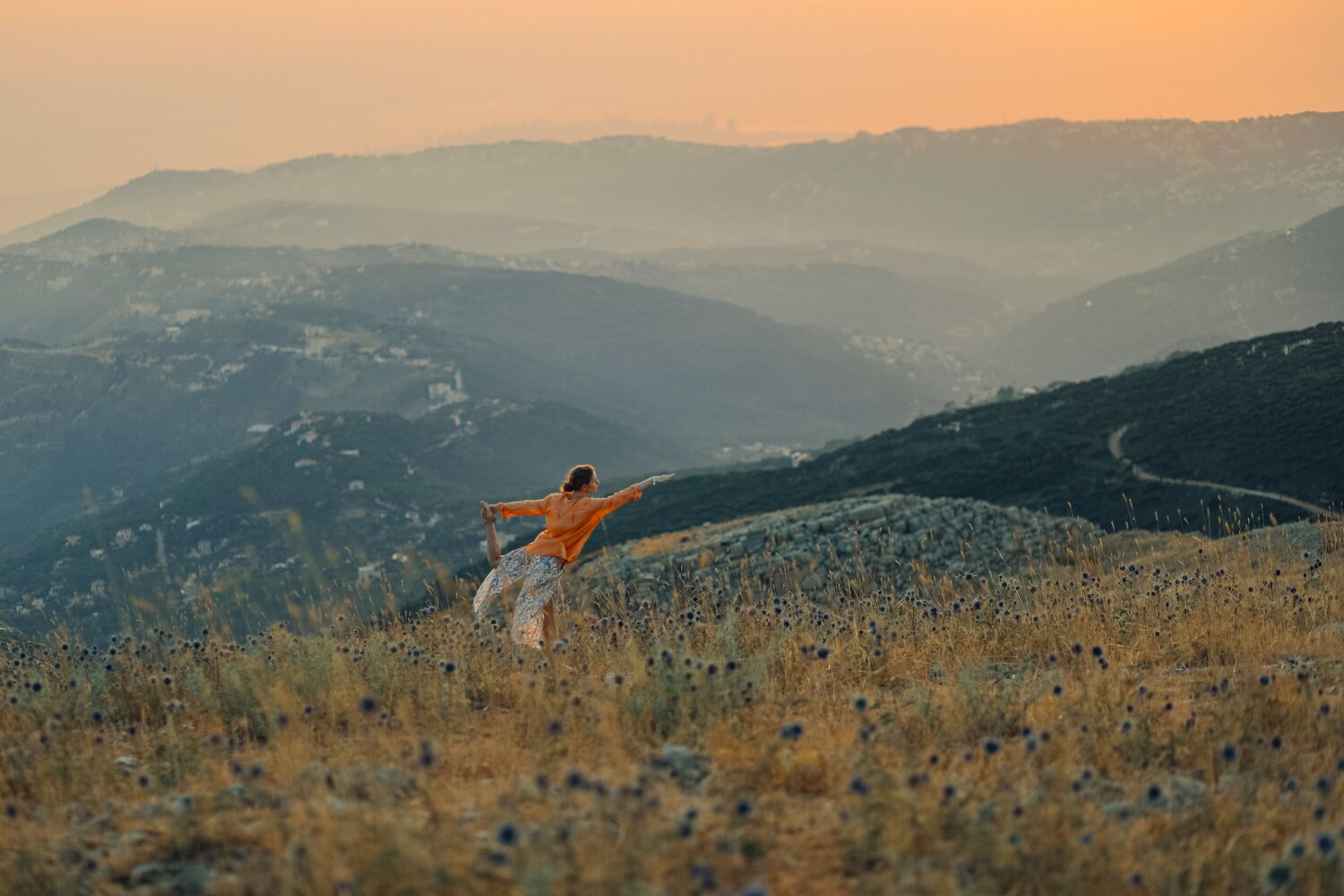 Photo #14022442