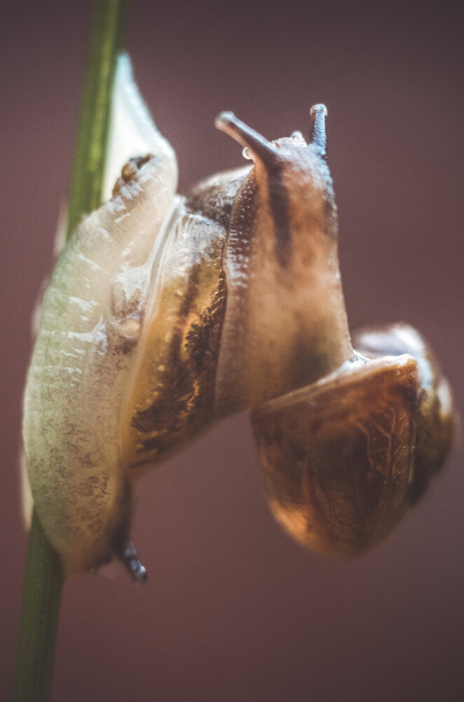 Photograph by Любовь Бусова
