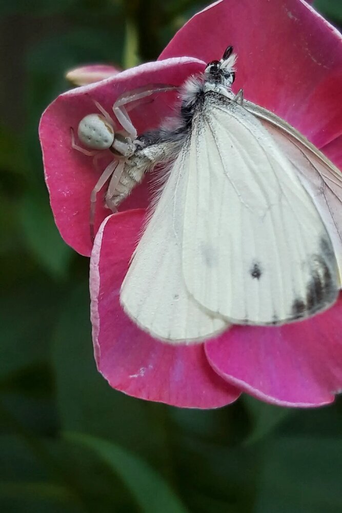 Photograph by Tatyana Busorgina