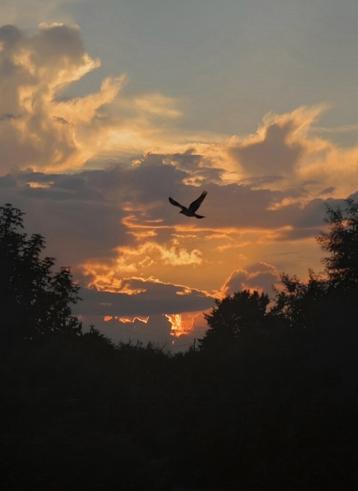Photograph by Светлана Кустова