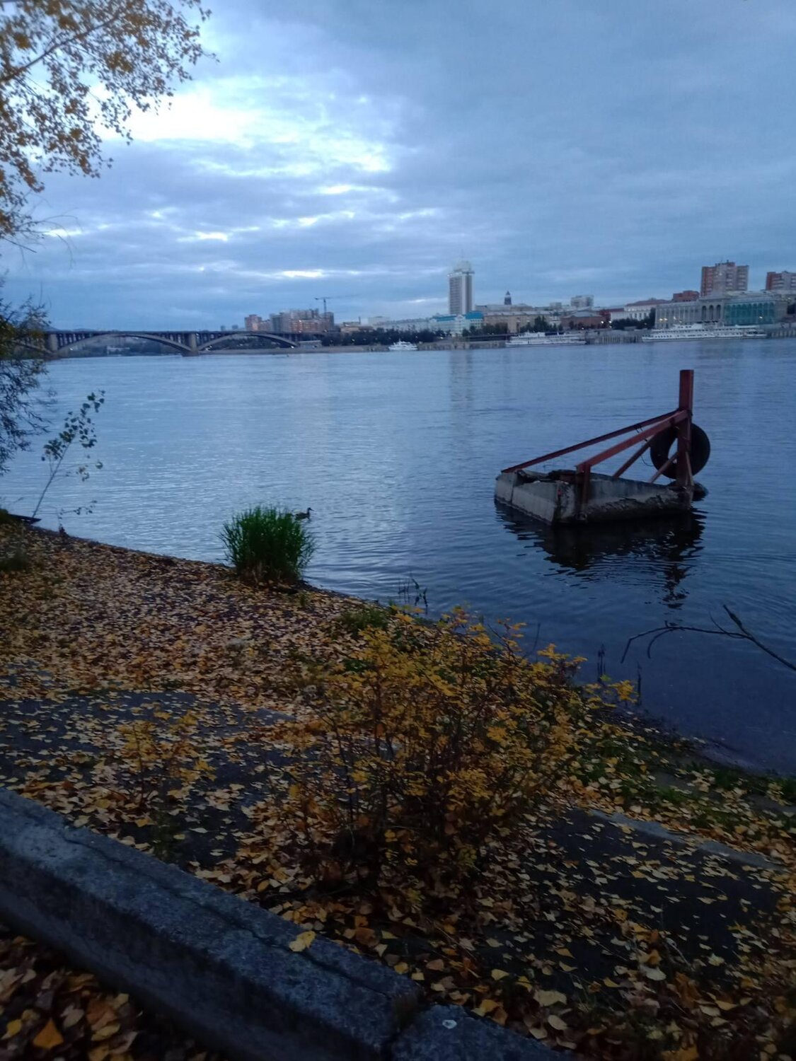 Photo #14022720