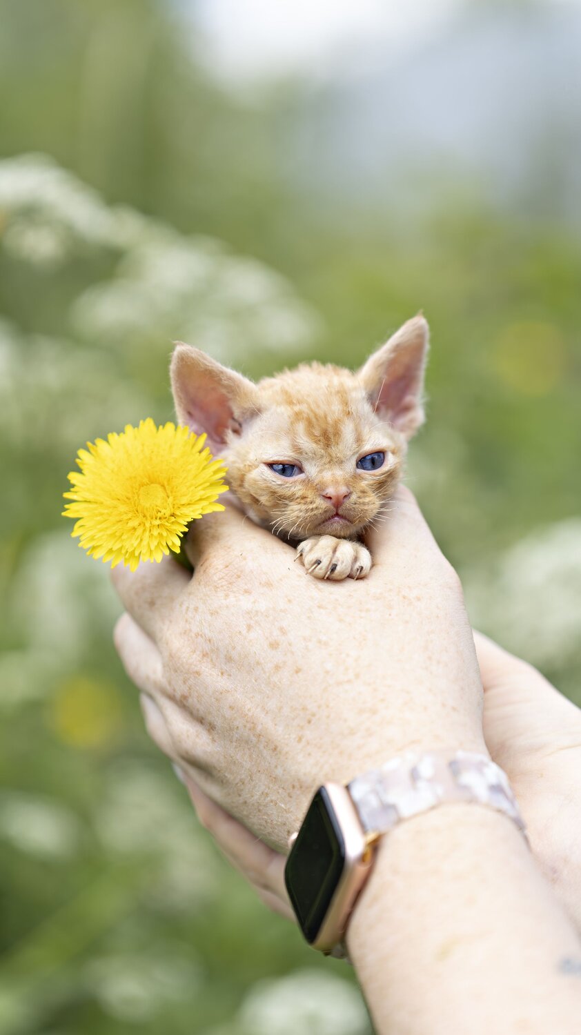 Photo #14022804