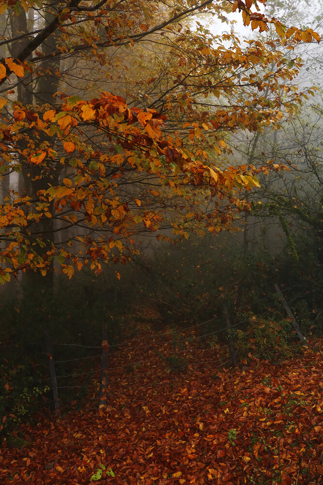 Photograph by Zahra jouri