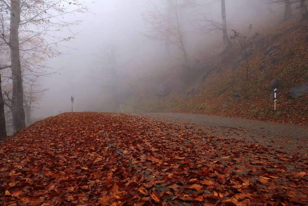 Photograph by Zahra jouri