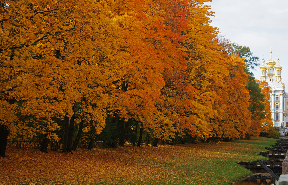 Photograph by Алла Бойко