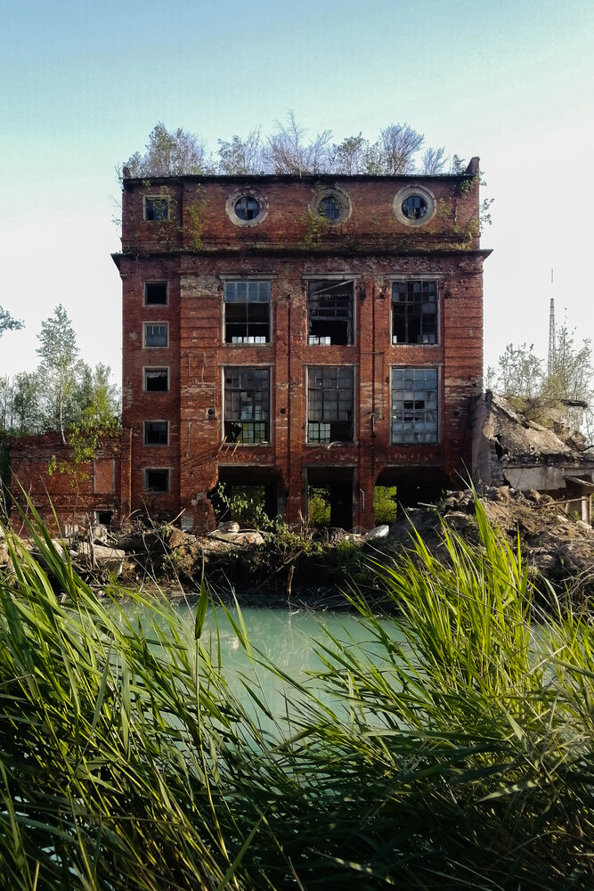 Photo #14022979