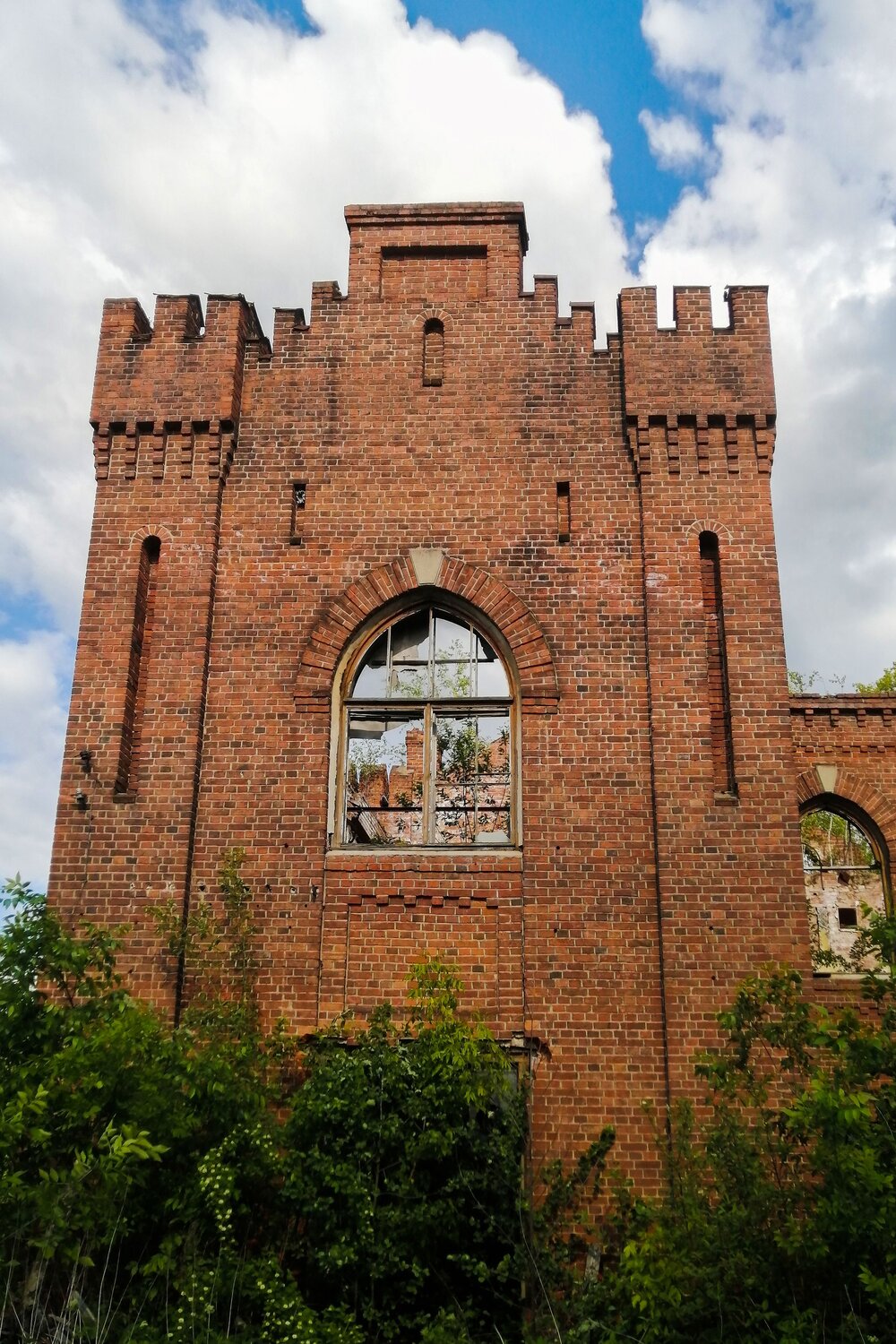 Photo #14022981