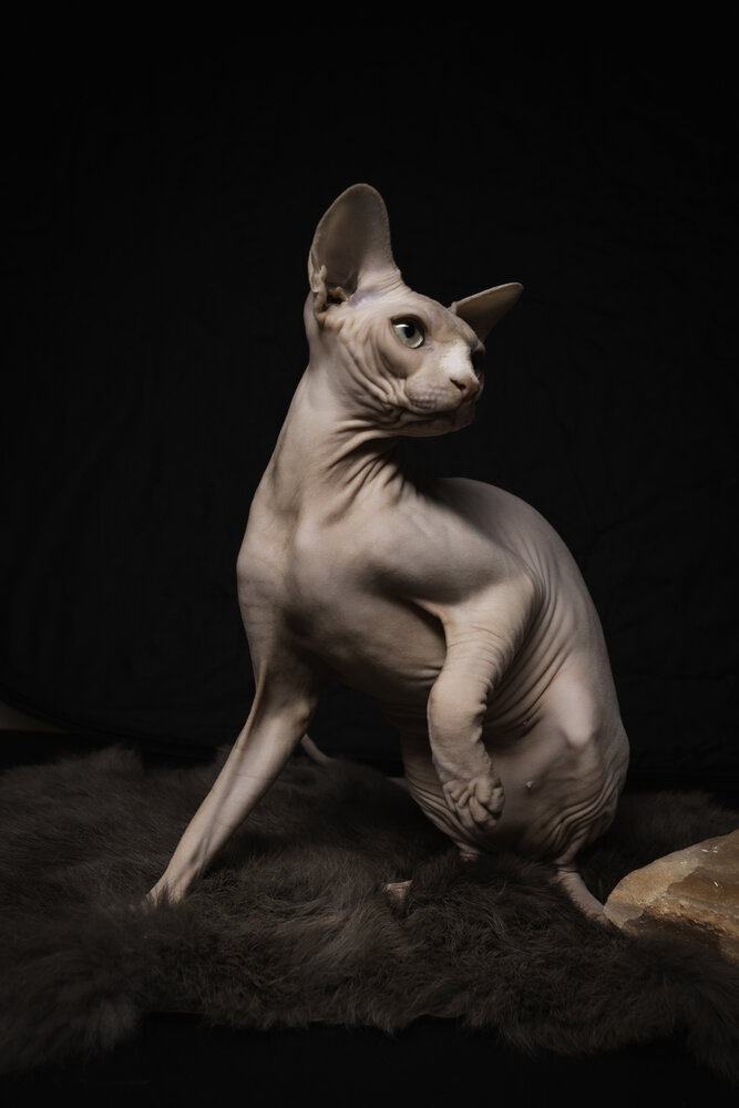 Photograph by Игорь Федянин