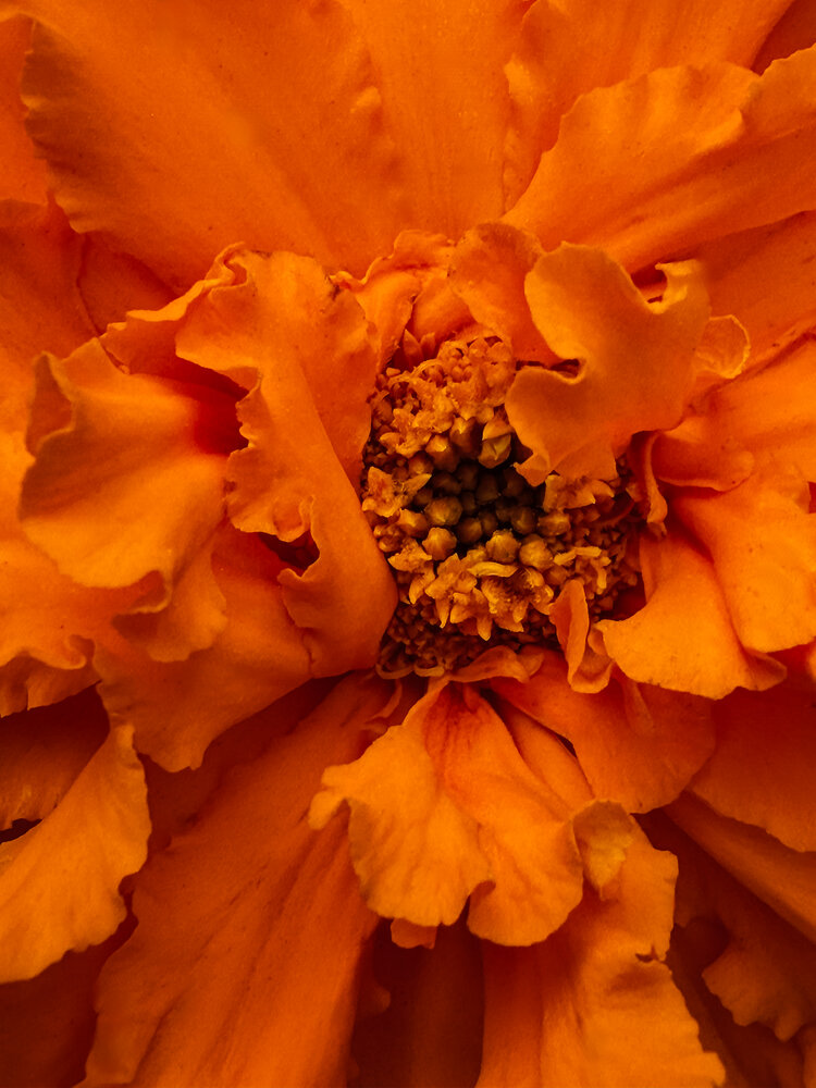 Photograph by Oxana Petlina