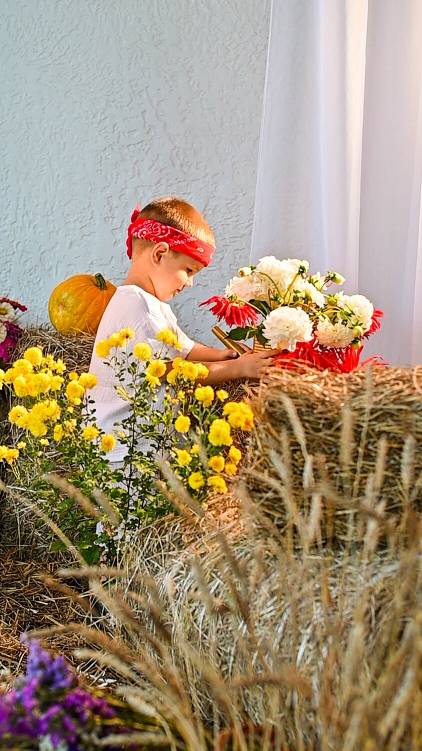 Photo #14023192