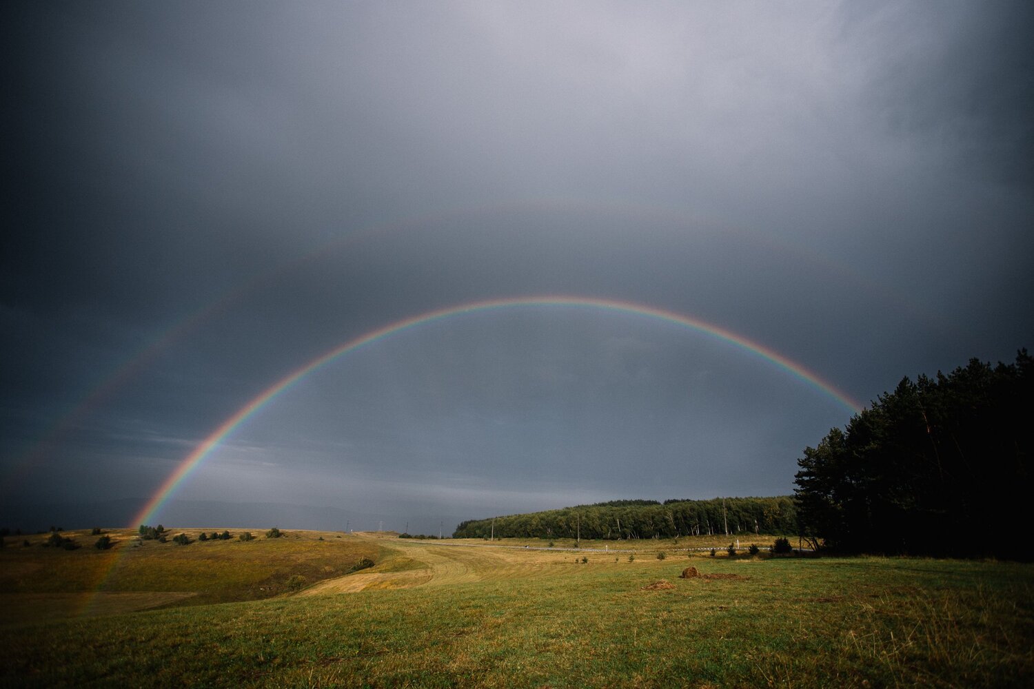 Photo #14023221