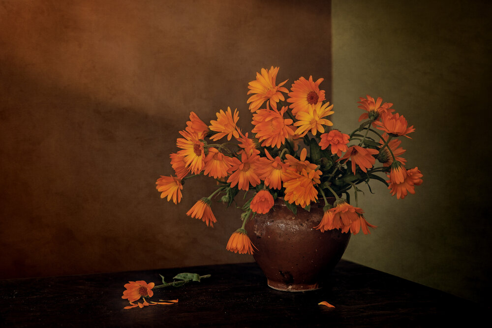 Photograph by Елена Овчинникова