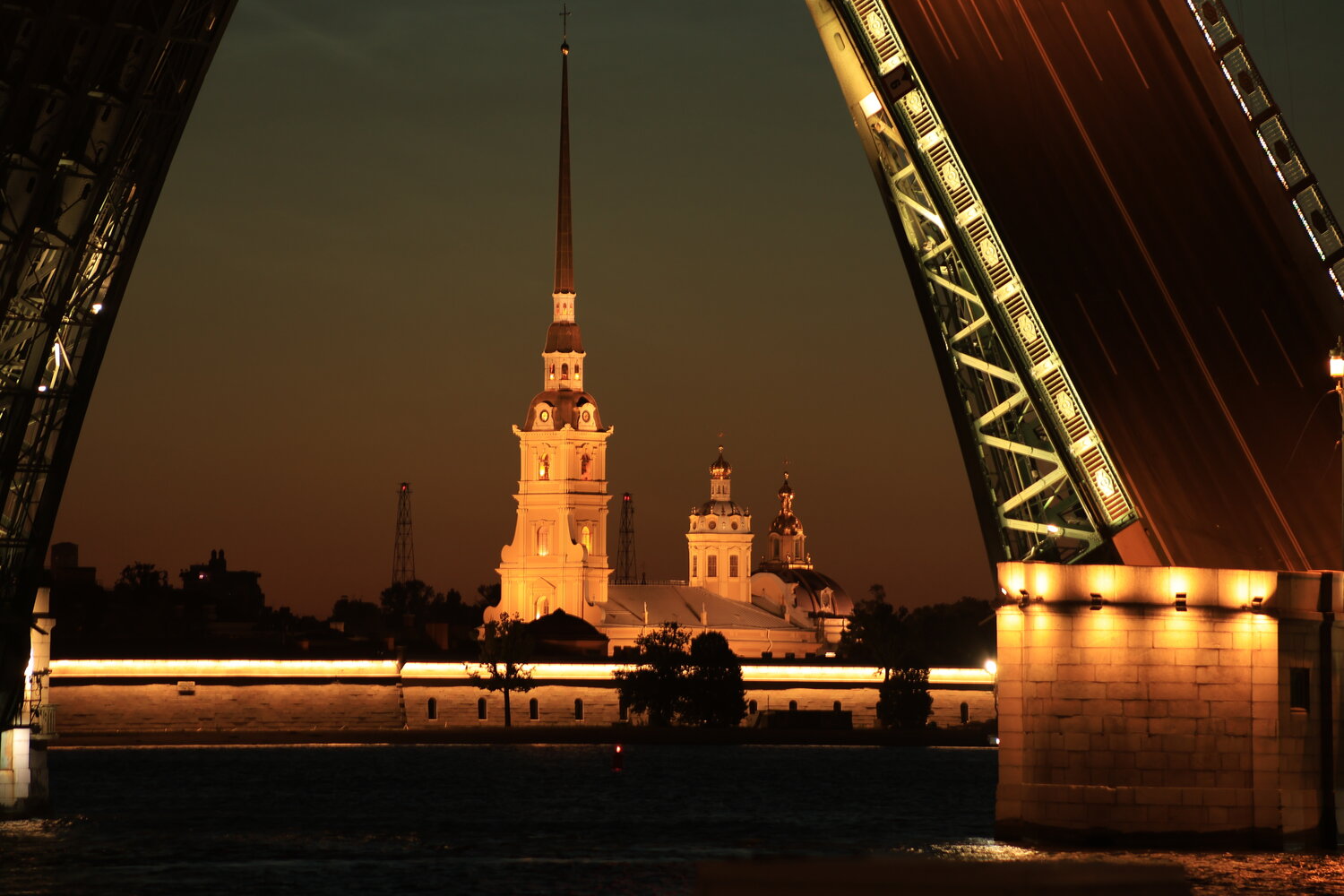 Photo #14023321