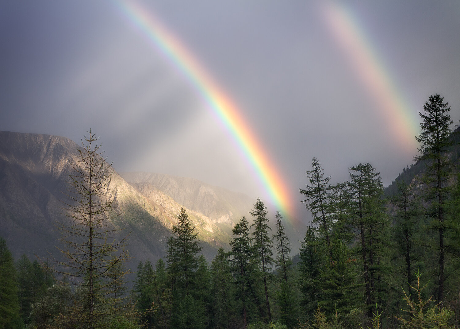 Photo #14023355