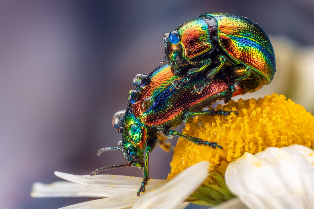 Photograph by Дмитрий Огольцов