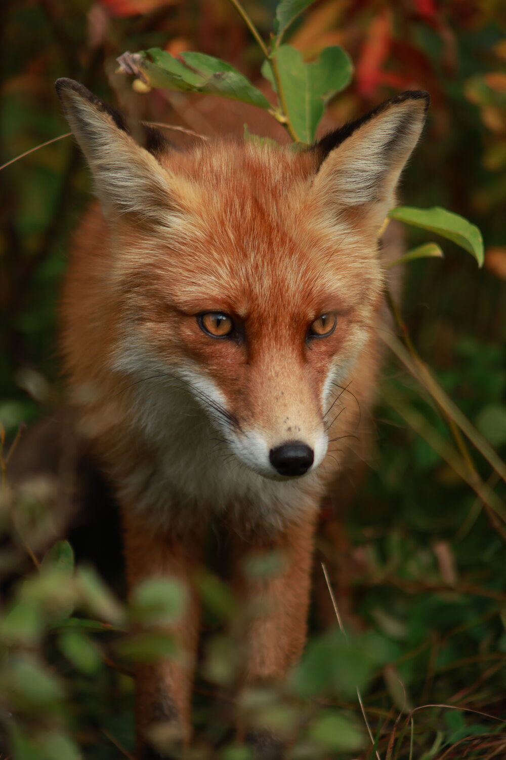 Photo #14023479