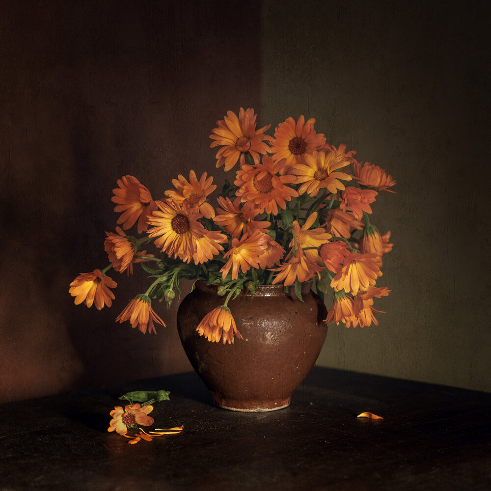 Photograph by Елена Овчинникова