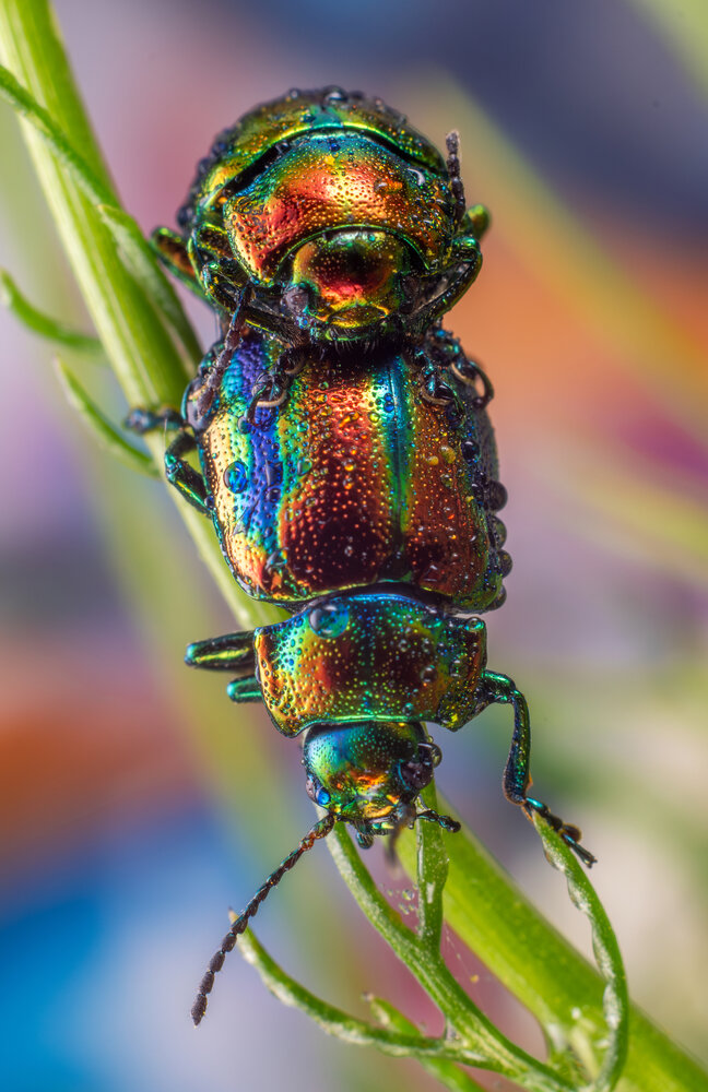 Photograph by Дмитрий Огольцов