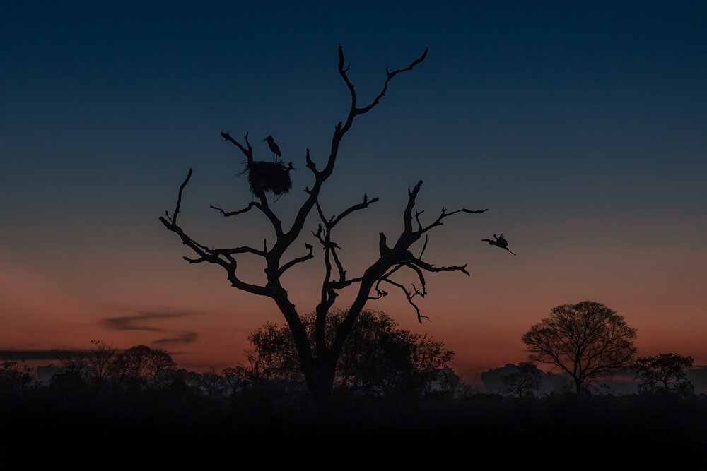 Photograph by Giorgio Castelli