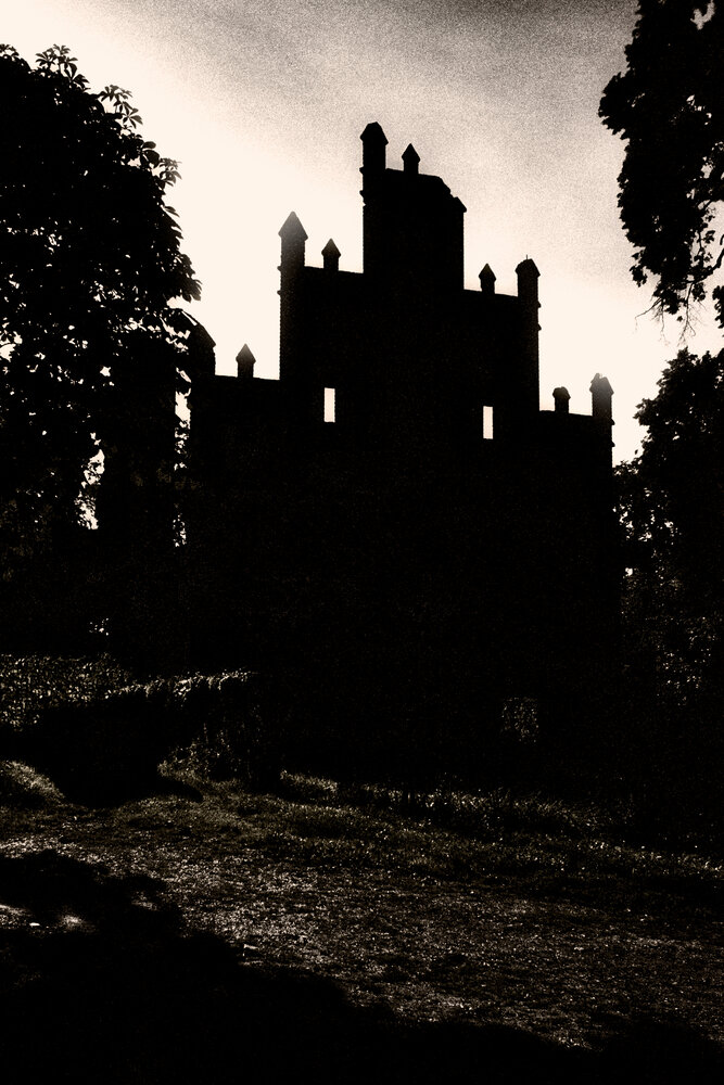 Photo #14023590