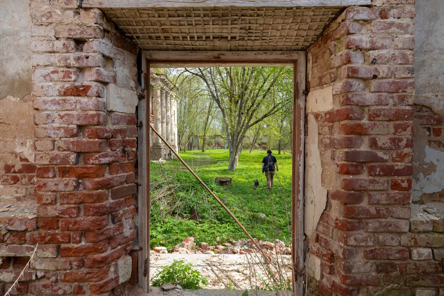 Photo #14023663