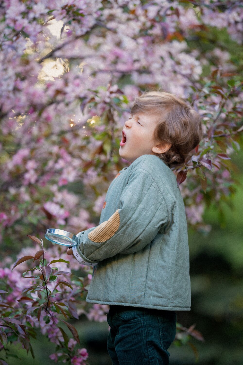 Photo #14023733