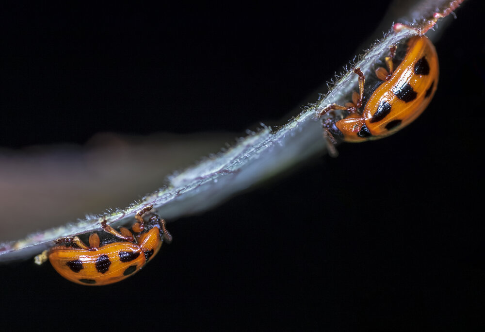 Photograph by Андрей Калинин