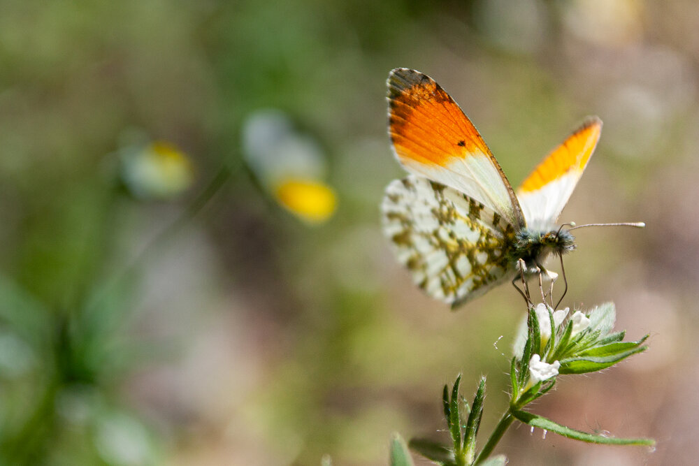 Photograph by Larysa Pinner