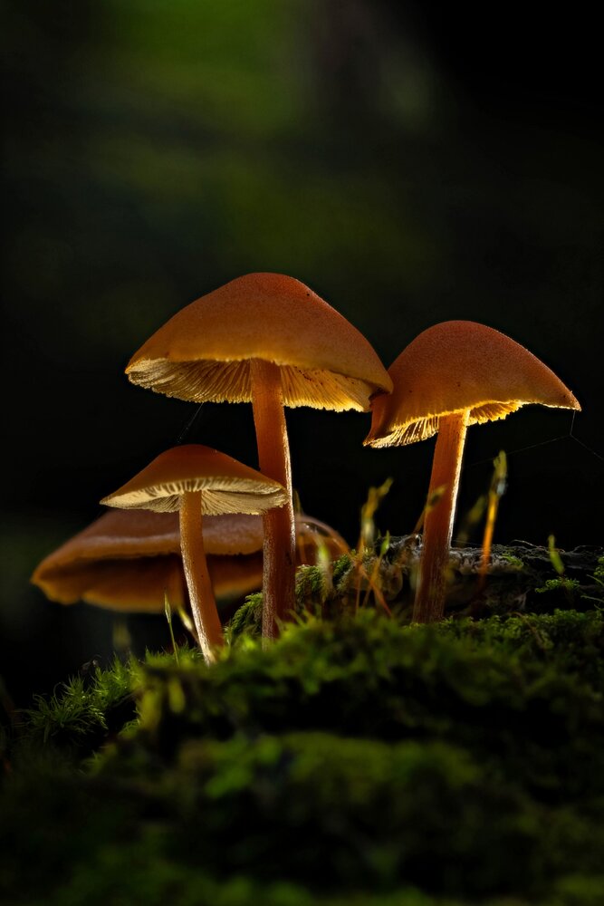 Photograph by Игорь Иванов