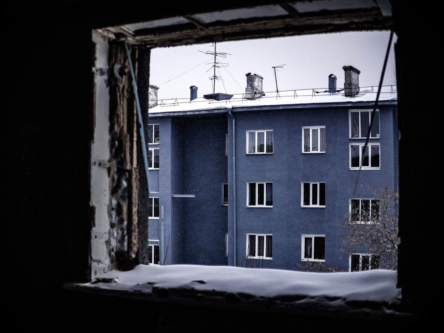 Photo #14023872