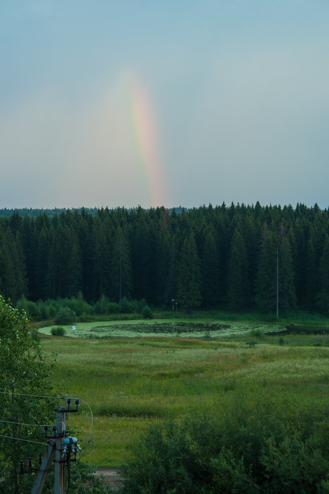 Photograph by Шистеров Сергей