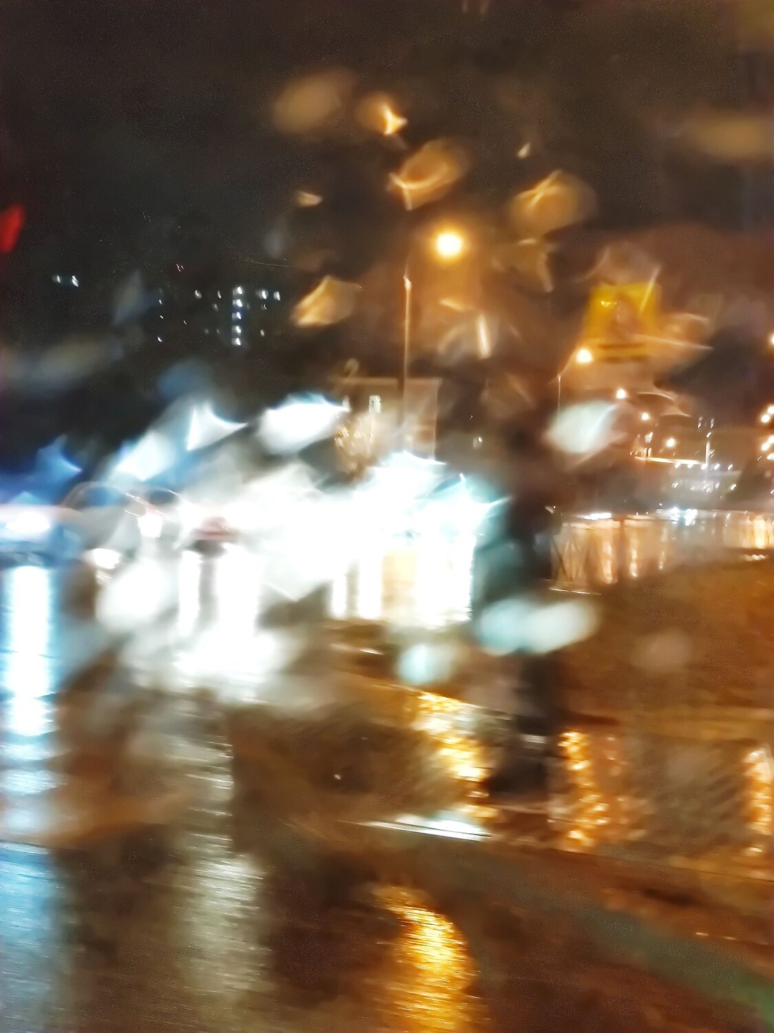 Photo #14024129