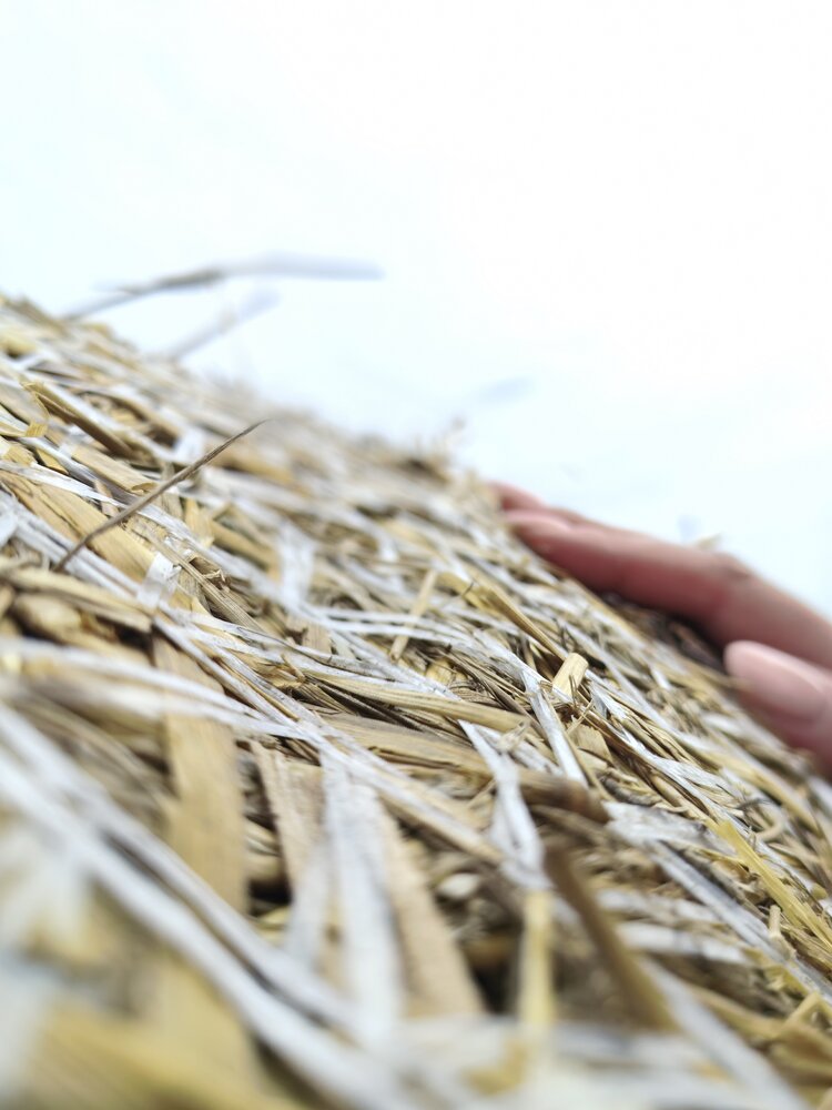 Photo #14024173